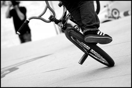 0O$$$$$BMX$$$$$O0